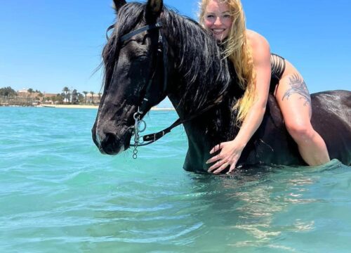 Plage d'équitation 2 heures