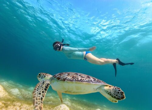 Îles Tortues Abo Dababa